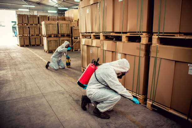 Best Affordable Pest Control Services  in Shrub Oak, NY