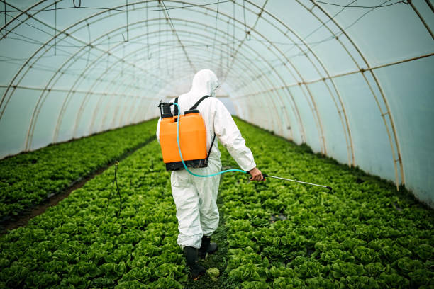 Best Local Pest Control Services  in Shrub Oak, NY