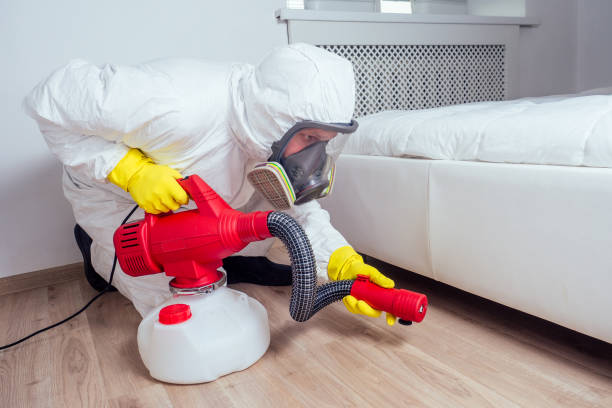 Wasp Removal Services in Shrub Oak, NY