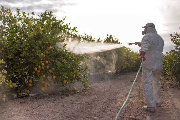 Best Pest Removal Services  in Shrub Oak, NY