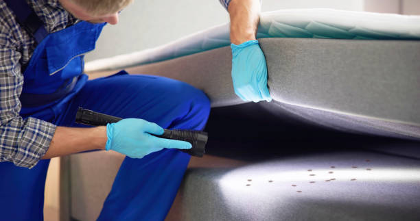 Best Ant Control Services  in Shrub Oak, NY