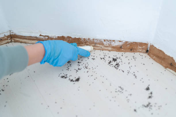 Best Wasp Removal Services  in Shrub Oak, NY